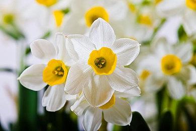 《GT赛车7》发布7月更新预告 7月25日正式上线